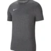 Nike Performance Park - T-Shirt Sport - Grey